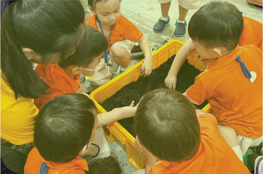 URBAN INSECT FARMING EXPERIENCE
