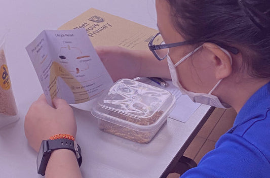Vermicomposting Baseline Workshop