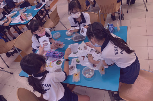 UPCYCLING X LIFECYCLE WORKSHOP