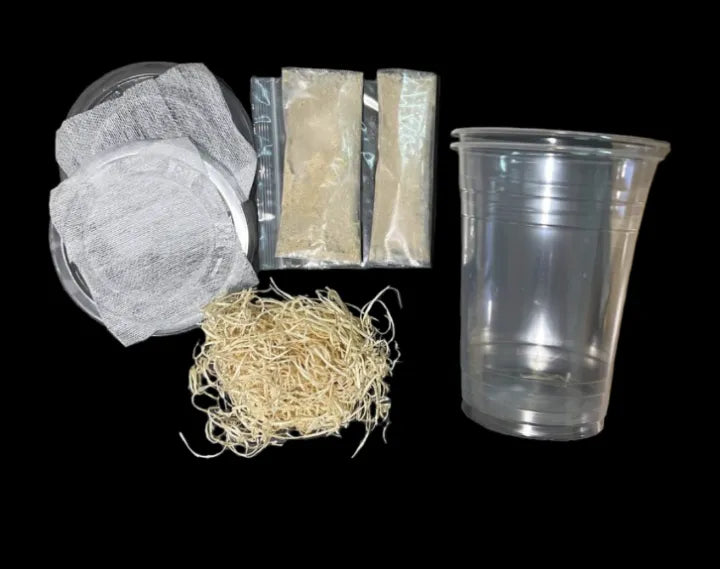 Flightless Fruit Flies Culture Starter Kit (No Flies)