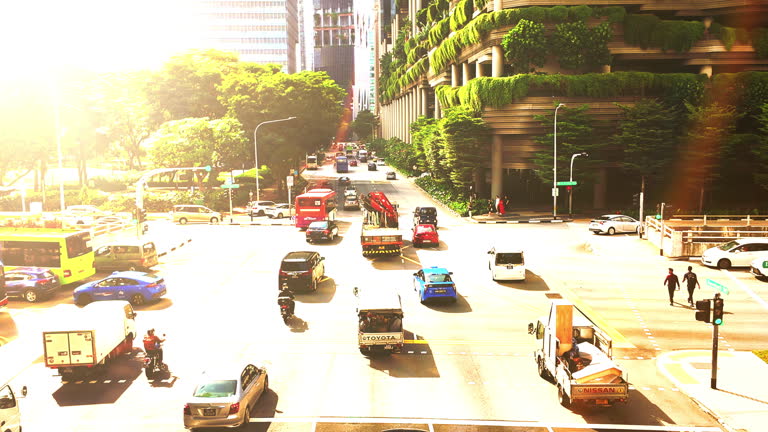 Why Feeders Struggle More in Singapore’s Heat