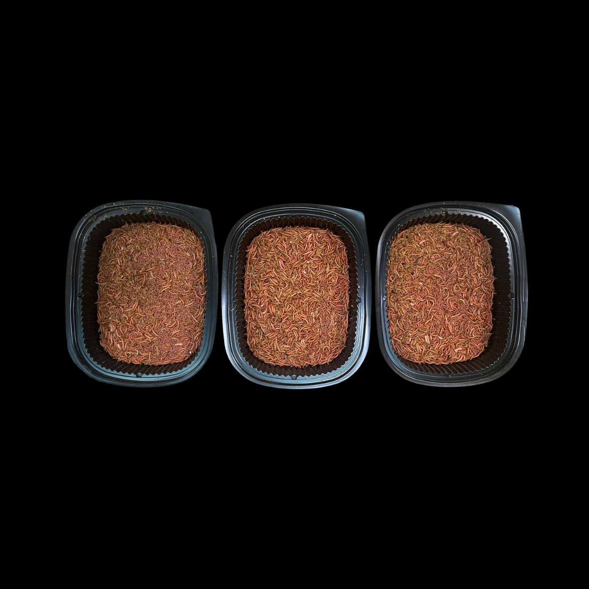 Beta-Carotene Mealworms