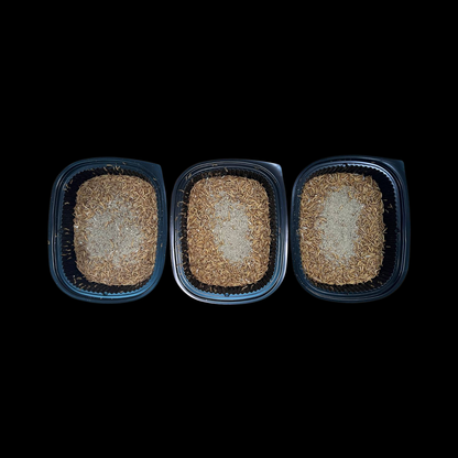 Calcium+ Mealworms