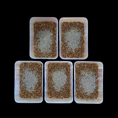 Calcium+ Mealworms