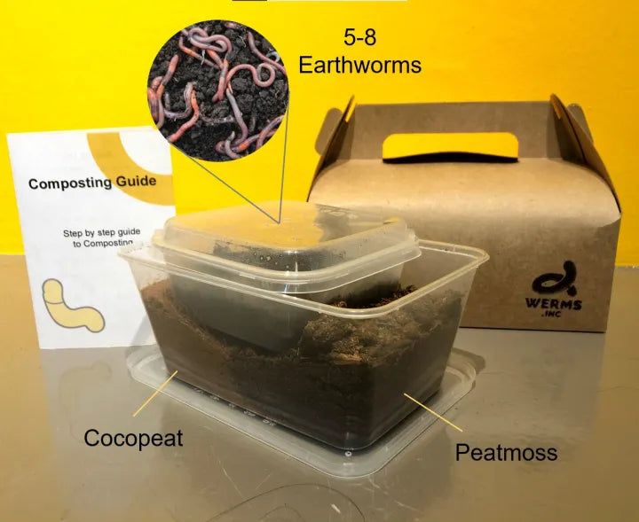 Vermicomposting starter kit