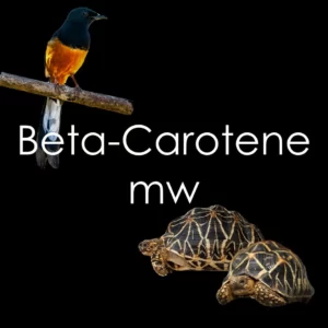 Beta-Carotene Mealworms