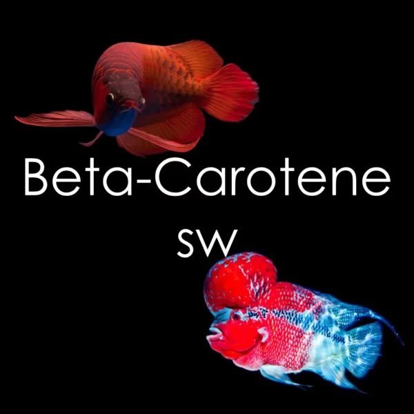 Beta-Carotene Superworms
