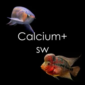 Calcium+ Superworms