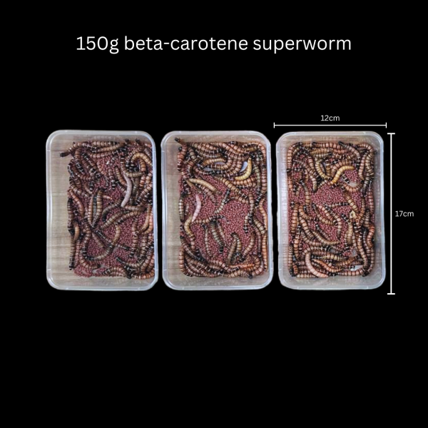 Beta-Carotene Superworms - Image 2