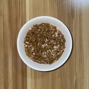 Live Standard Mealworms