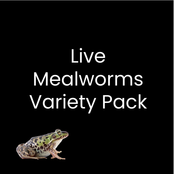Live Mealworms Singapore Variety Pack