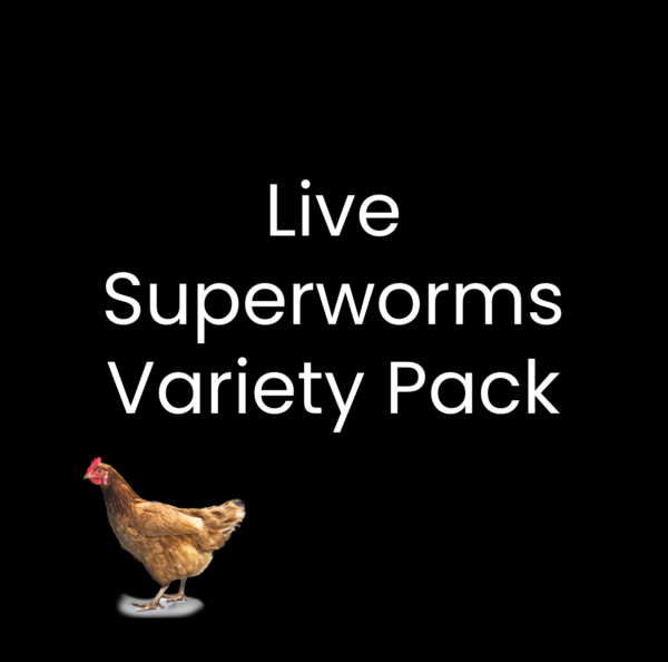 Live Superworms Variety Pack (Subscription)