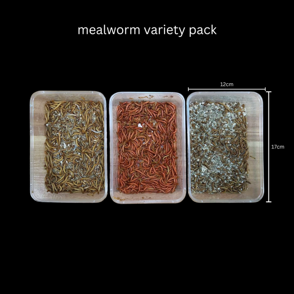 Live Mealworms Variety Pack - Image 2