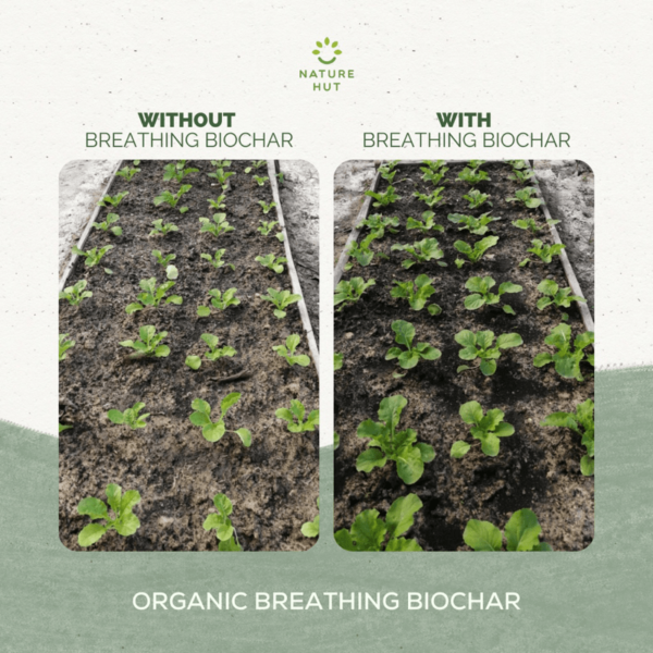 Nature Hut Organic Breathing Biochar, Fine (4L), Chunky (5L), or Large (5L) - Soil Enhancer, Use Less Fertiliser - Image 8
