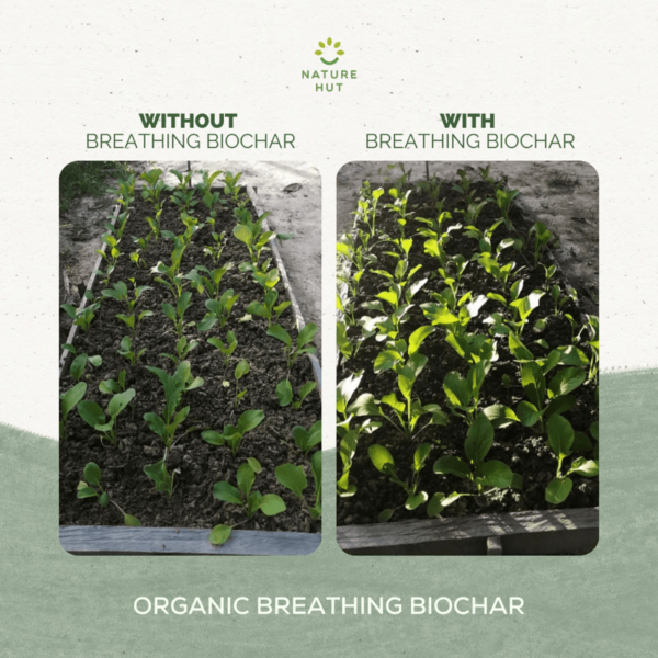 Nature Hut Organic Breathing Biochar, Fine (4L), Chunky (5L), or Large (5L) - Soil Enhancer, Use Less Fertiliser - Image 9
