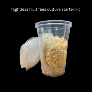 Flightless Fruit Flies Culture Starter Kit (No Flies)