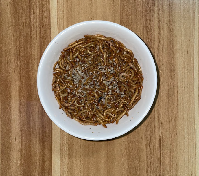 Meal Worms - Worm Farms